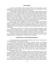 Kompiuterio istorija, sandara 18 puslapis