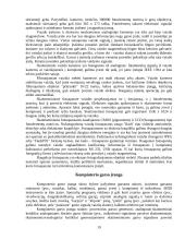 Kompiuterio istorija, sandara 19 puslapis
