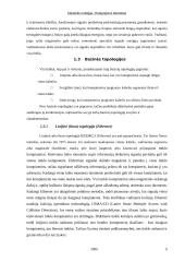 Kompiuterių tinklas 4 puslapis