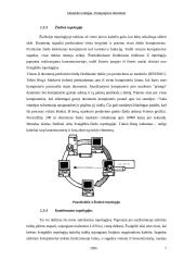 Kompiuterių tinklas 6 puslapis