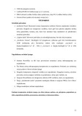 Kompiuterių, su Power PC bei I386 procesoriais,  sistemų palyginimas 12 puslapis