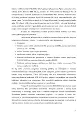 Kompiuterių, su Power PC bei I386 procesoriais,  sistemų palyginimas 14 puslapis