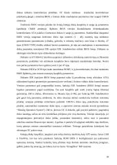 Kompiuterių, su Power PC bei I386 procesoriais,  sistemų palyginimas 18 puslapis