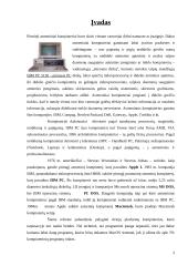 Kompiuterių, su Power PC bei I386 procesoriais,  sistemų palyginimas 3 puslapis