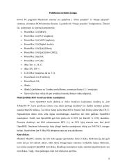 Kompiuterių, su Power PC bei I386 procesoriais,  sistemų palyginimas 9 puslapis