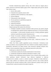 Kompiuterizuotos apskaitos projektų rengimas 6 puslapis