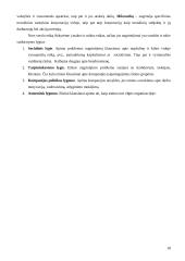 Kooperacija, valdžia ir verslo etika 17 puslapis