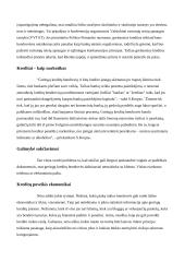 Kreditai: jų teigiami ir neigiami aspektai 12 puslapis