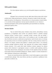 Kreditai: jų teigiami ir neigiami aspektai 13 puslapis