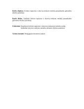 Kritinio mąstymo ir aktyvių mokymo metodų panaudojimo galimybės tikybos pamokose 4 puslapis