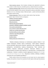 Kritinis mąstymas ir aktyvaus mokymosi galimybės tikybos pamokoje 4 puslapis
