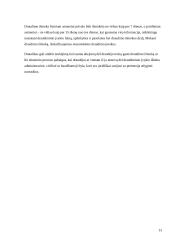 Krovininių transporto priemonių ir jomis vežamų krovinių draudimas 12 puslapis