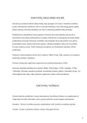 Krovininių transporto priemonių ir jomis vežamų krovinių draudimas 3 puslapis