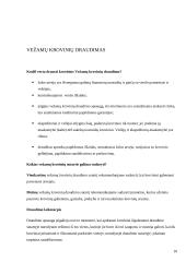Krovininių transporto priemonių ir jomis vežamų krovinių draudimas 9 puslapis