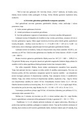 Krovinio gabenimas į Estiją 12 puslapis