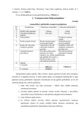 Krovinio gabenimas į Estiją 13 puslapis