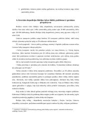 Krovinio gabenimas į Estiją 14 puslapis