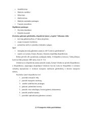 Krovinio gabenimas į Estiją 3 puslapis