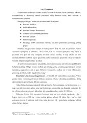 Krovinio gabenimas į Estiją 6 puslapis