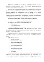 Krovinio gabenimas į Estiją 7 puslapis