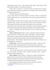 Krovinio gabenimas į Estiją 8 puslapis