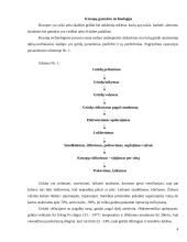 Kruopų gamybos technologija 4 puslapis