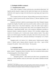 Kūdikio vystymosi fiziologija ir individualių savybių plėtotė 4 puslapis