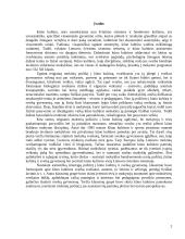 Kūno kultūra ir sveika gyvensena 2 puslapis