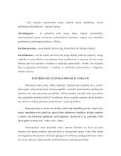 Kūrybiškumo ugdymas neformalioje veikloje 2 puslapis