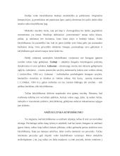 Kūrybiškumo ugdymas neformalioje veikloje 3 puslapis