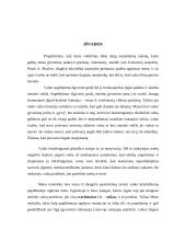 Kūrybiškumo ugdymas neformalioje veikloje 6 puslapis