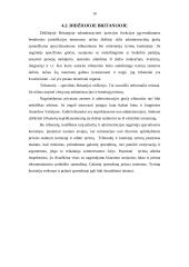 Kvaziteisminės institucijos 10 puslapis