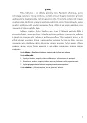 Labdaringi renginiai ir etiketas 2 puslapis