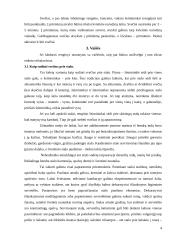 Labdaringi renginiai ir etiketas 5 puslapis