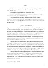 Laikinoji darbo sutartis. Darbo nuoma 2 puslapis