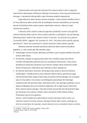 Laikinoji darbo sutartis. Darbo nuoma 3 puslapis