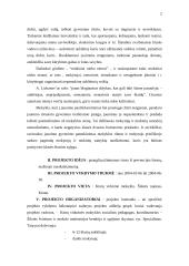 Laisvalaikio organizavimo projektas 2 puslapis