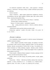 Laisvalaikio organizavimo projektas 14 puslapis