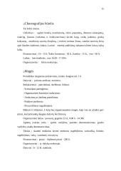 Laisvalaikio organizavimo projektas 15 puslapis