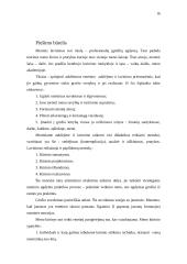 Laisvalaikio organizavimo projektas 16 puslapis