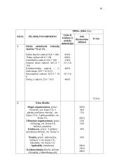 Laisvalaikio organizavimo projektas 18 puslapis