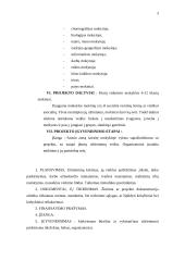 Laisvalaikio organizavimo projektas 3 puslapis