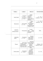 Laisvalaikio organizavimo projektas 4 puslapis