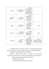 Laisvalaikio organizavimo projektas 7 puslapis