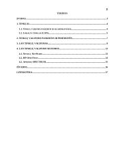 LAN tinklų valdymas 2 puslapis