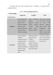 LAN tinklų valdymas 6 puslapis