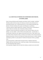 Lankytojų tipai ir jų aptarnavimas 11 puslapis