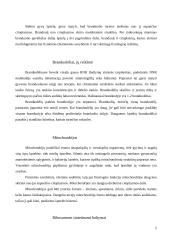 Ląstelių organelės 5 puslapis