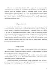 Ląstelių organelės 6 puslapis