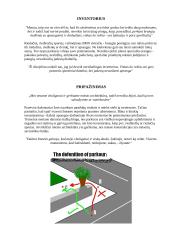 Le Parkour – judėjimo meno koncepcijos ir raidos apžvalga (1987-2006) 7 puslapis